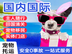 安阳红旗渠机场快运国际宠物托运 【国